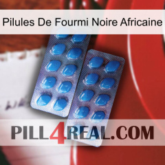 African Black Ant Pills viagra2